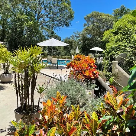 Villa Serena Bed & Breakfast-2